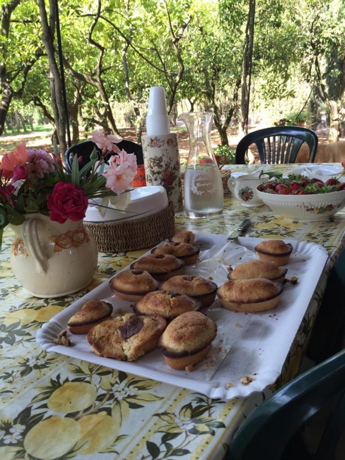 Magliano Casina Mozart Lecce Bed & Breakfast エクステリア 写真