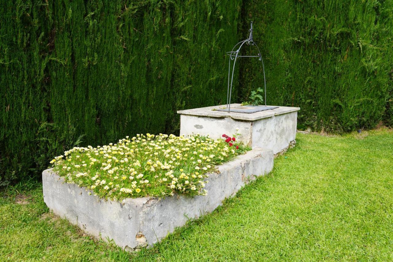 Magliano Casina Mozart Lecce Bed & Breakfast エクステリア 写真